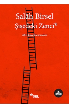 Şişedeki Zenci: 1001 Gece Denemeleri
