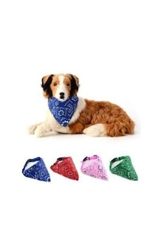 Lion Pet Fularlı Köpek Boyun Tasması Karışık Renk M/l Çok Renkli