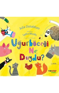 Uğur Böceği Ne Duydu / Julia Donaldson