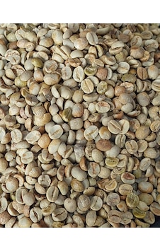 Unicafe Rio Minas 17/18 Elek Çiğ Kahve 1 Kg Çekirdek Kahve Unicafe Rio Minas 17/18 Elek Çiğ Kahve 1 Kg Çekirdek Kahve