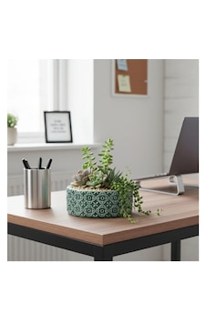 Dekoratif beton saksı sukulent arajman çiçek saksısı Çap:18cm(Bitkiler Hariç)