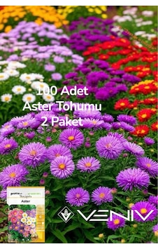 100 Adet Aster Çiçeği Tohumu 2 Paket 100 Adet Aster Çiçeği Tohumu 2 Paket