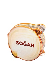 Soğan - Lezzetli Magnetler