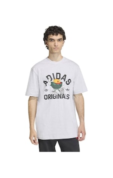 Lgreyh Adidas Erkek Günlük T-shirt Gfx T Ks7617 Gri