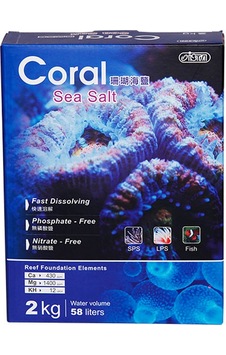Gldısptm Ista Coral 2 Kg Kutu Sea Salt Gldısptm Ista Coral 2 Kg Kutu Sea Salt