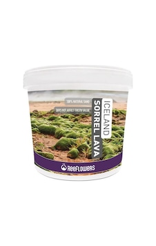 Reeflowers Iceland Sorrel Lava 1-3 Mm 4 Kg+ Reeflowers Iceland Sorrel Lava 1-3 Mm 4 Kg+