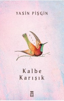 Kalbe Karışık - Yasin Pişgin Kalbe Karışık - Yasin Pişgin