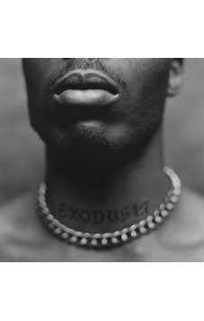 Dmx - Exodus Plak