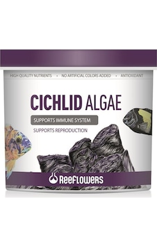 Reeflowers Cichlid Algae Balık Yemi 150 ML