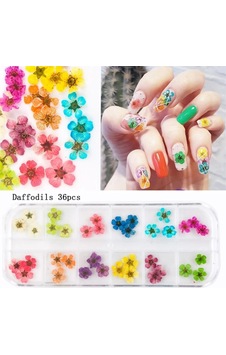 Nail Art Kurutulmuş Çiçek Ng-145