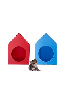 Su Geçirmez Plastik Kedi Evi 35 x 45 x 50 CM 2 Adet Su Geçirmez Plastik Kedi Evi 35 x 45 x 50 CM 2 Adet