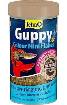 Tetra Guppy Clour Mini Flakes Lepistes Pul Balık Yemi 250 Ml Tetra Guppy Clour Mini Flakes Lepistes Pul Balık Yemi 250 Ml