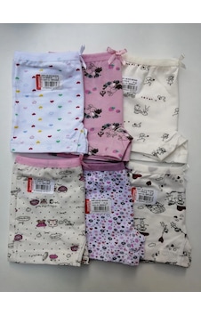 Ceylanoğlu 6'lı Paket Pamuklu Desenli Kız Çocuk Boxer 001 Ceylanoğlu 6'lı Paket Pamuklu Desenli Kız Çocuk Boxer 001
