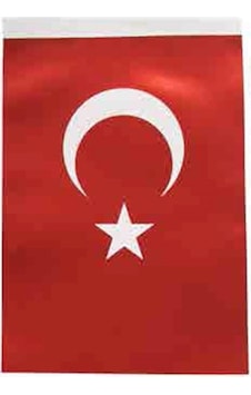 Inter B-005 Türk Bayrağı 60x90 Cm Diğer