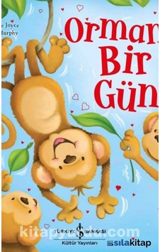 Ormanda Bir Gün Ormanda Bir Gün
