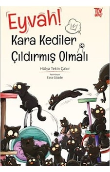 Eyvah Kara Kediler Çıldırmış Olmalı / Hülya Tekin Çakır Eyvah Kara Kediler Çıldırmış Olmalı / Hülya Tekin Çakır