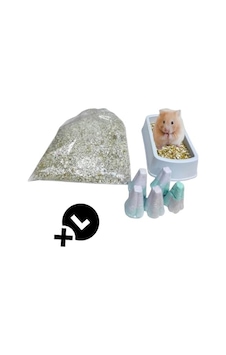 Suriye Hamsterları İçin Tuvalet Kabı Ve Meyveli Kemirme Seti