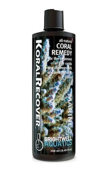 Brightwell - Koral Recover 250 Ml Brightwell - Koral Recover 250 Ml