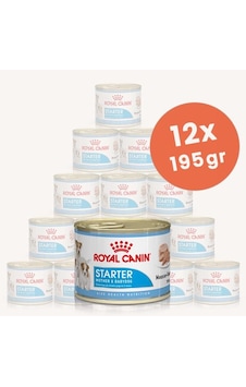 Royal Canin Starter Mousse Mother & Baby Dog Konserve Yavru Köpek Maması 12 x 195 G Royal Canin Starter Mousse Mother & Baby Dog Konserve Yavru Köpek Maması 12 x 195 G