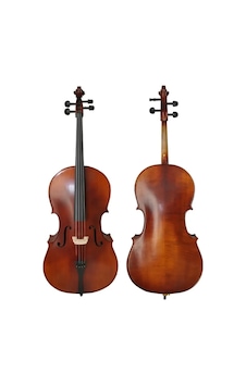 Picaldi Cm110h 4/4 Moderate Tam Boy Çello Seçkin Ton Ağaçları, Güçlü Rezonans, Sahne Ve Kayıt Uyumluluğu Picaldi Cm110h 4/4 Moderate Tam Boy Çello Seçkin Ton Ağaçları, Güçlü Rezonans, Sahne Ve Kayıt Uyumluluğu