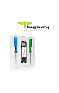Bigboy BSSDA900-256G 256 GB A900 2500-1800 MB/S PCIe 3x4 SSD