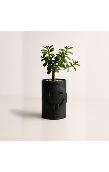 Alvera Emoji Planter 3d Baskı Göz Kırpan Yüzlü Sukulent Saksısı-siyah Alvera Emoji Planter 3d Baskı Göz Kırpan Yüzlü Sukulent Saksısı-siyah