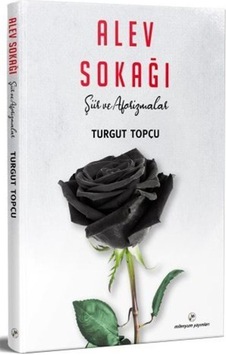 Alev Sokağı / Turgut Topçu