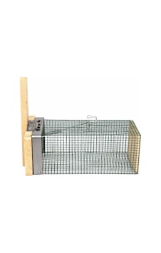 Fare Kapanı Orta Boy Dışı Telli 12 X 25 X 11 Cm