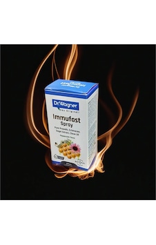 Dr. Wagner Immufast Nane Aromalı Oral Sprey 20 ML