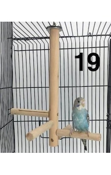 Papağan Tünek Oyuncağı Kuş Tüneği 19 Papağan Tünek Oyuncağı Kuş Tüneği 19