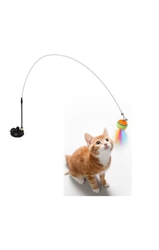 Cama Yapışan Vantuzlu Kedi Oltası Cama Yapışan Vantuzlu Kedi Oltası