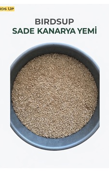 Birds Up Sade Kanarya Yemi 25 KG