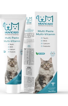 Muvicado Kedilerde Yumak Önleyici Multivitamin Malt 100 G Muvicado Kedilerde Yumak Önleyici Multivitamin Malt 100 G