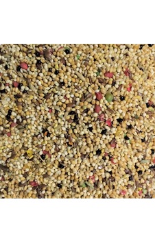 Aktar Store Renkli Kuş Yemi 1 KG Aktar Store Renkli Kuş Yemi 1 KG
