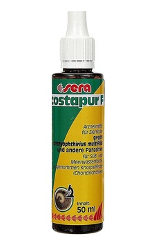 Sera Costapur 50ml Akvaryum Dış Parazit İlacı Sku: Zeus8690010275219 Sera Costapur 50ml Akvaryum Dış Parazit İlacı Sku: Zeus8690010275219