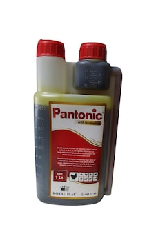 Pantonic 1litre Kanatlılar için Multivitamin Pantonic 1litre Kanatlılar için Multivitamin
