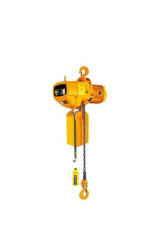 Lion 1 Ton 6 Metre Elektrikli Zincirli Vinç - 380 V