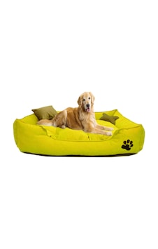 Mavi Vitrin Yıkanabilir Kumaş Pati İşlemeli Büyük Irk Köpek Yatağı L 100 x 80 CM Mavi Vitrin Yıkanabilir Kumaş Pati İşlemeli Büyük Irk Köpek Yatağı L 100 x 80 CM