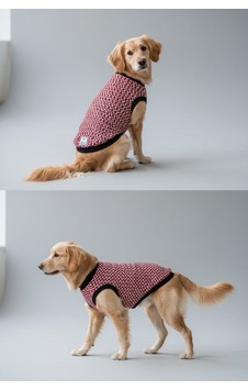 Miniş Bordo Kolsuz Küçük Irk Köpek Trikosu Büyük Kalıplıdır -21631 Miniş Bordo Kolsuz Küçük Irk Köpek Trikosu Büyük Kalıplıdır -21631