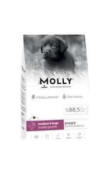 Molly Medium Large Puppy Kuzu Etli Yaban Mersinli Yavru Köpek Maması 2 KG