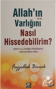 Allah'ın Varlığını Nasıl Hissedebilirim? / Feyzullah Birışık 9786055104764