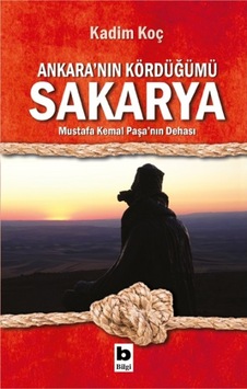 Ankara Nın Kördüğümü Sakarya