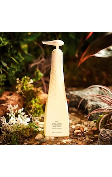 Treecell Day Collagen Shampoo Morning Of Resort 360ml Tüm Saç Tipleri