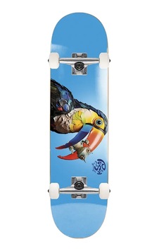 Push 8.0 Toucan Fp Blue Skateboard Kaykay Mavi Push 8.0 Toucan Fp Blue Skateboard Kaykay Mavi