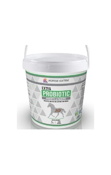 Probiotic 5 Kg Mide Ve Sindirim Sistemi İçin Ekstra Güçlü Probiotic 5 Kg Mide Ve Sindirim Sistemi İçin Ekstra Güçlü