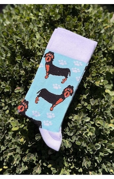 Lousocks Unisex Sosis Köpek Desenli Turkuaz Soket Çorap Lousocks Unisex Sosis Köpek Desenli Turkuaz Soket Çorap