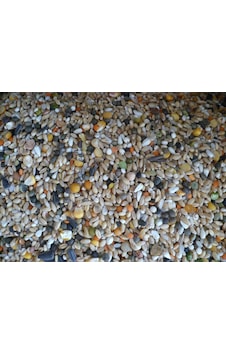 KARIŞIK GÜVERCİN YEMİ 10 KG BUĞDAYLI KARIŞIK GÜVERCİN YEMİ 10 KG BUĞDAYLI