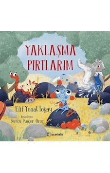 Yaklaşma Pırtlarım / Elif Yonat Toğay Yaklaşma Pırtlarım / Elif Yonat Toğay