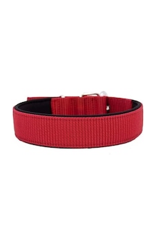 Doggie Comfort Dokuma Köpek Boyun Tasması Small Kırmızı 4x47-55 Cm Çok Renkli Doggie Comfort Dokuma Köpek Boyun Tasması Small Kırmızı 4x47-55 Cm Çok Renkli