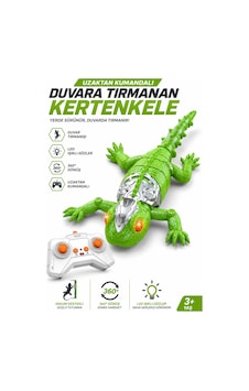 Duvara Tırmanan Uzaktan Kumandalı Oyuncak Kertenkele Duvarda Giden Kertenkele 2.4 Ghz Şarjlı Yeşil